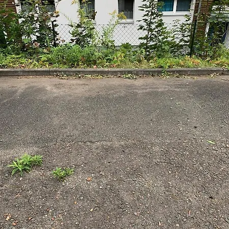 Romantische Ferienwohnung Mit Fantastischem Ausblick, Pool Und Gartensauna * Jena